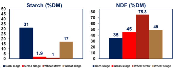 Bar graph of starch and NDF in corn silage, grass silage, wheat straw, and wheat silage